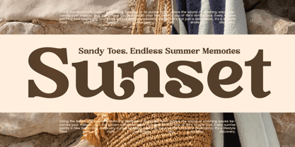 Rustic Cuntry Font Poster 4