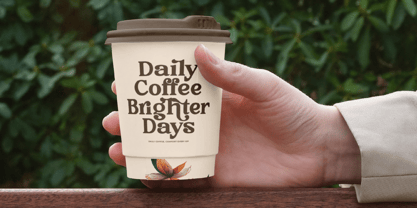 Rustic Cuntry Font Poster 11