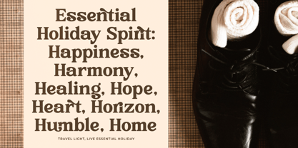 Rustic Cuntry Font Poster 9