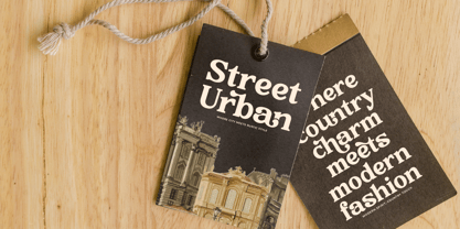 Rustic Cuntry Font Poster 5