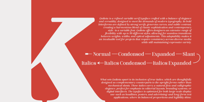 Quiketa Font Poster 6