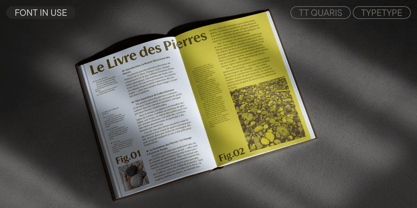 TT Quaris Font Poster 9