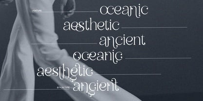 Besluty Font Poster 6