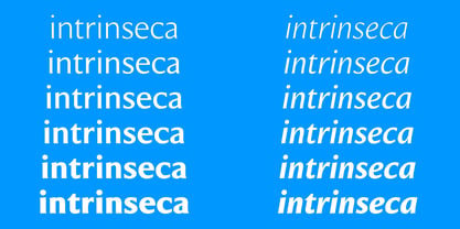Intrinseca Nova Font Poster 3