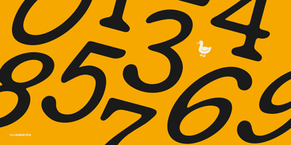 Golden Goose Font Poster 3