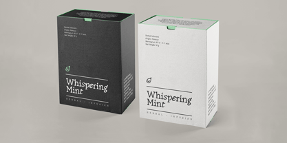 Golden Goose Font Poster 12