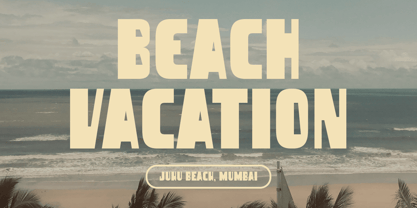 DT Nachis Font Poster 6