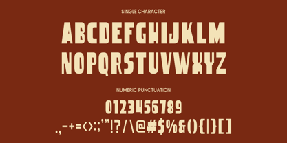 DT Nachis Font Poster 8