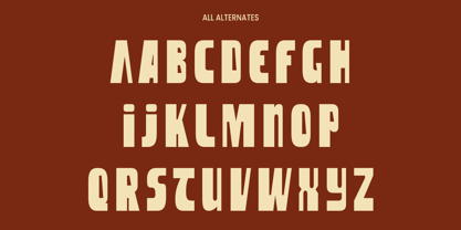 DT Nachis Font Poster 9