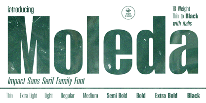 Moleda Font Poster 1