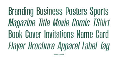 Moleda Font Poster 4