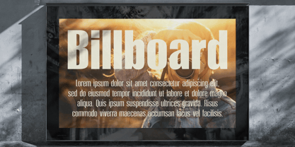 Moleda Font Poster 6