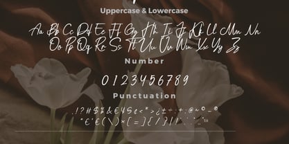 Brondia Derepina Font Poster 9