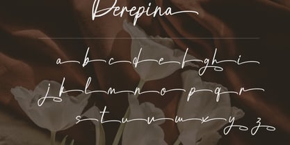 Brondia Derepina Font Poster 10