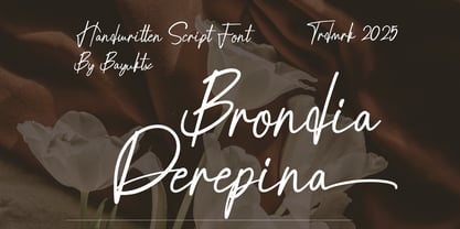 Brondia Derepina Font Poster 1