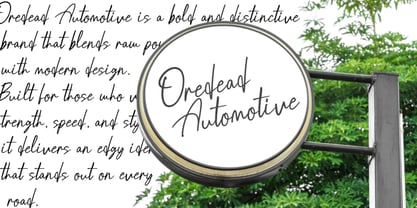 Brondia Derepina Font Poster 7