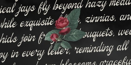 Marcella Wishes Font Poster 5