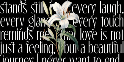 The Marlynes Font Poster 9