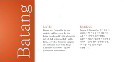 Batang Font Poster 4