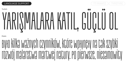 TT Frantz Font Poster 8