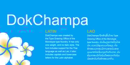 DokChampa Font Poster 4