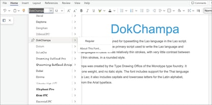 DokChampa Font Poster 5