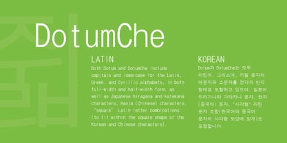 DotumChe Font Poster 4