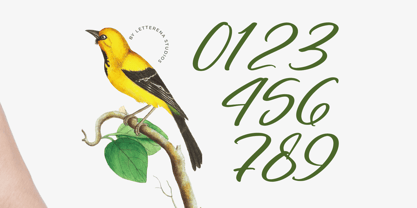 Nostalgic Pictures Font Poster 7