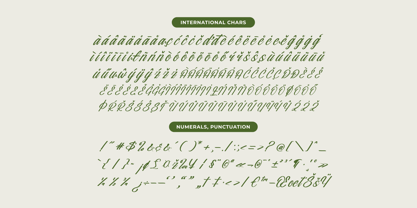 Nostalgic Pictures Font Poster 14