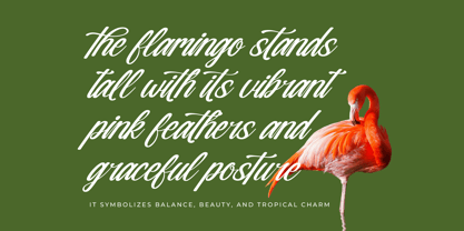 Nostalgic Pictures Font Poster 10