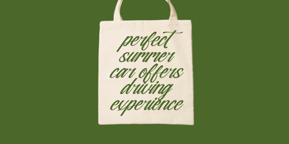 Nostalgic Pictures Font Poster 4