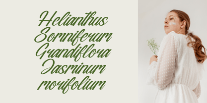 Nostalgic Pictures Font Poster 11