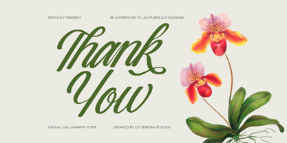 Nostalgic Pictures Font Poster 15