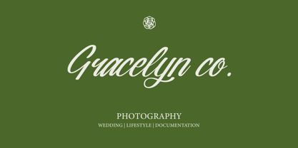 Nostalgic Pictures Font Poster 8