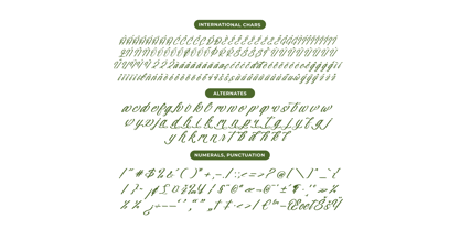 Nostalgic Pictures Font Poster 13