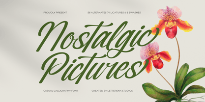 Nostalgic Pictures Font Poster 1