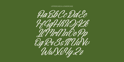 Nostalgic Pictures Font Poster 12