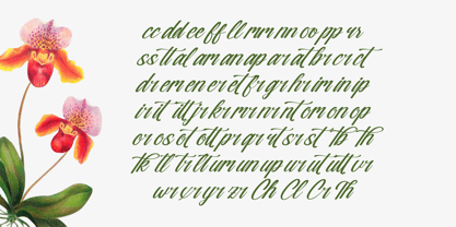 Nostalgic Pictures Font Poster 9