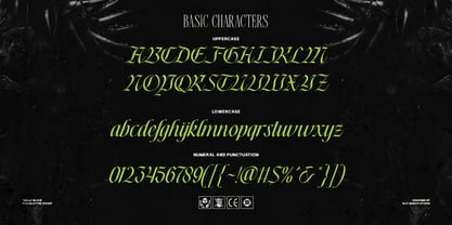 Thelly Black Font Poster 6