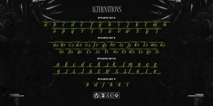 Thelly Black Font Poster 12