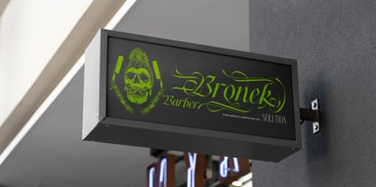 Thelly Black Font Poster 10