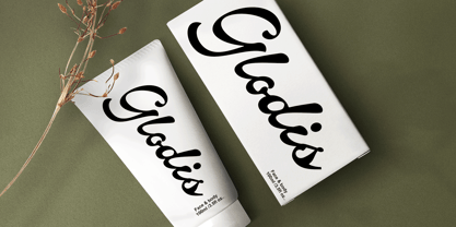 Alfino Script Font Poster 6