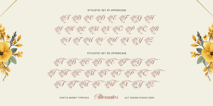 Chetta Money Font Poster 6