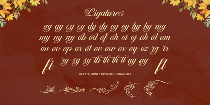 Chetta Money Font Poster 14