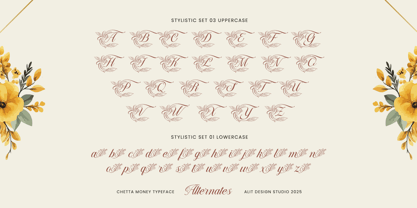 Chetta Money Font Poster 7