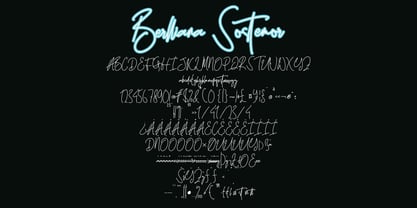Berllianha Sostemhor Font Poster 3