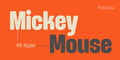 Slinky Font Poster 10