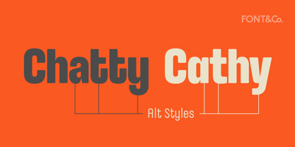 Slinky Font Poster 8