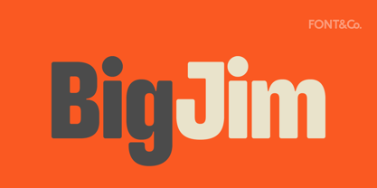 Slinky Font Poster 3