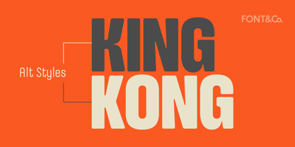 Slinky Font Poster 11